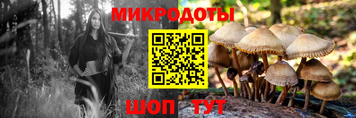 Галлюциногенные грибы Cubensis  Вход с VPN  Серпухов 
